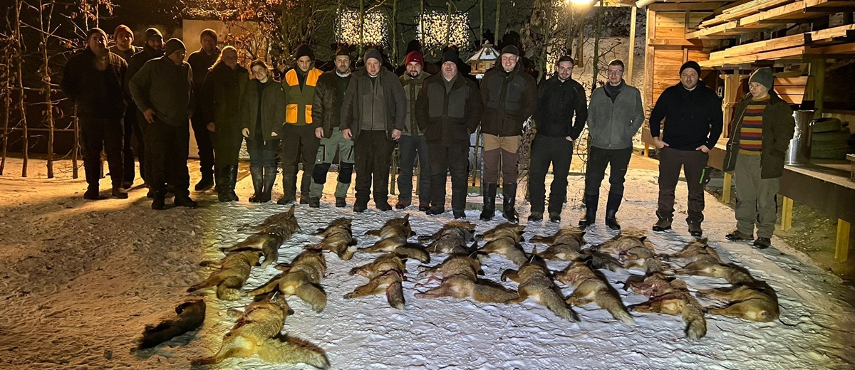 Gänsestrich und Raubwildbejagung